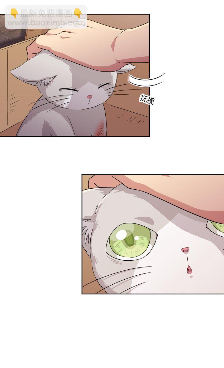 024 咪咪回来啦！-第25话