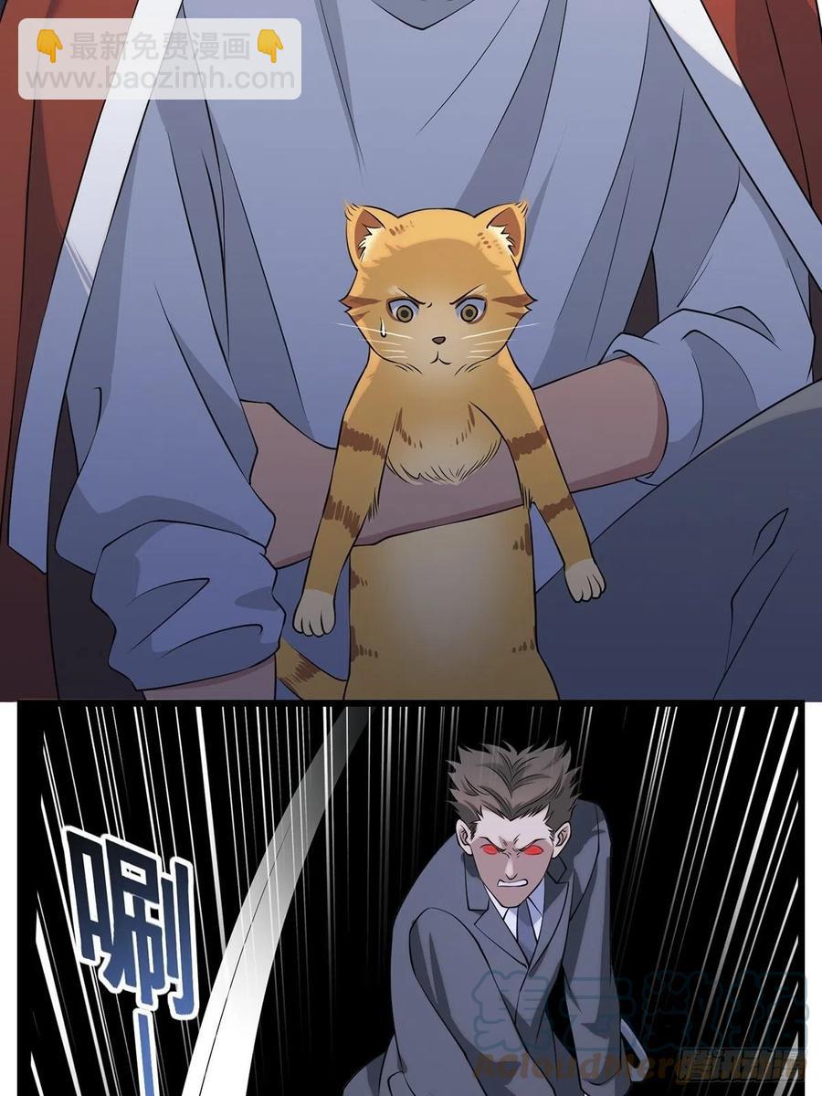 猫灵3(1/2)-第29话