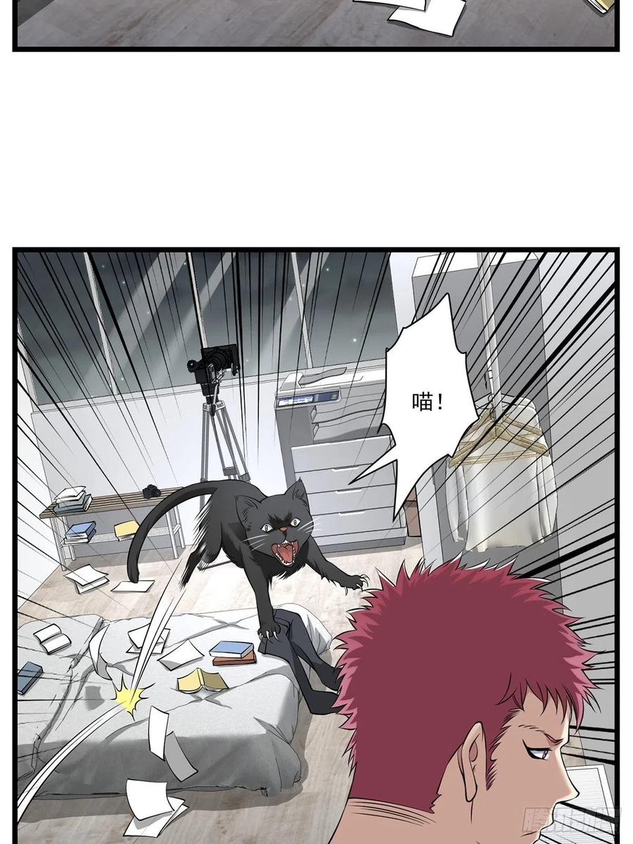 猫灵3(1/2)-第29话