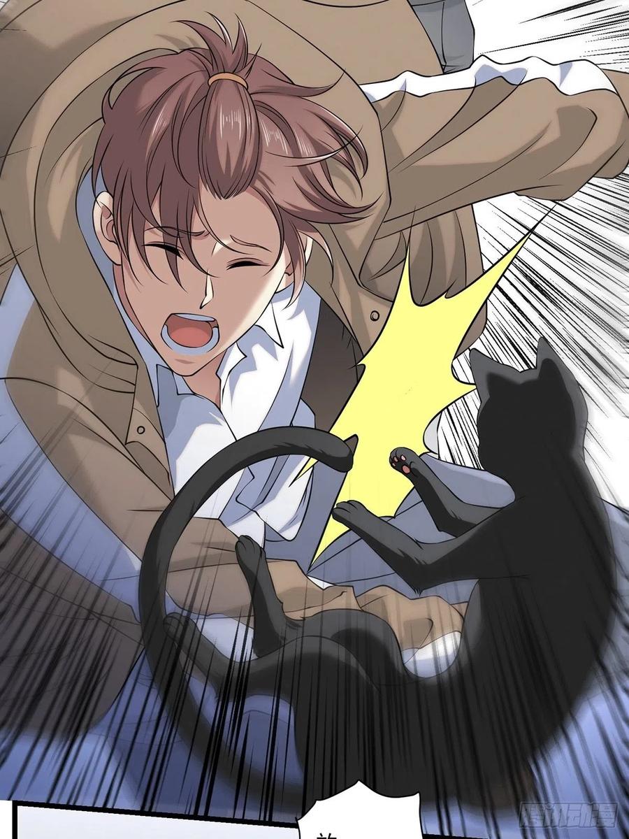 猫灵3(1/2)-第29话