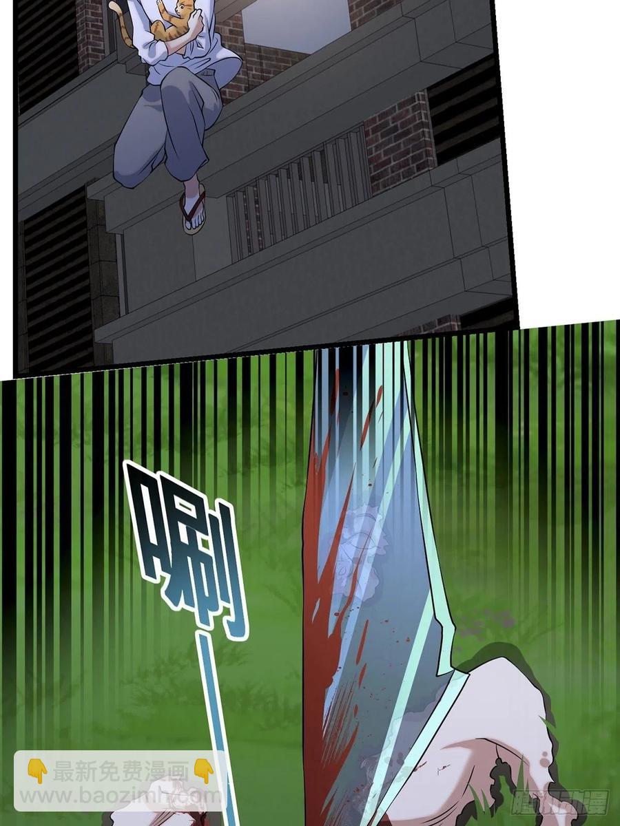 猫灵3(1/2)-第29话