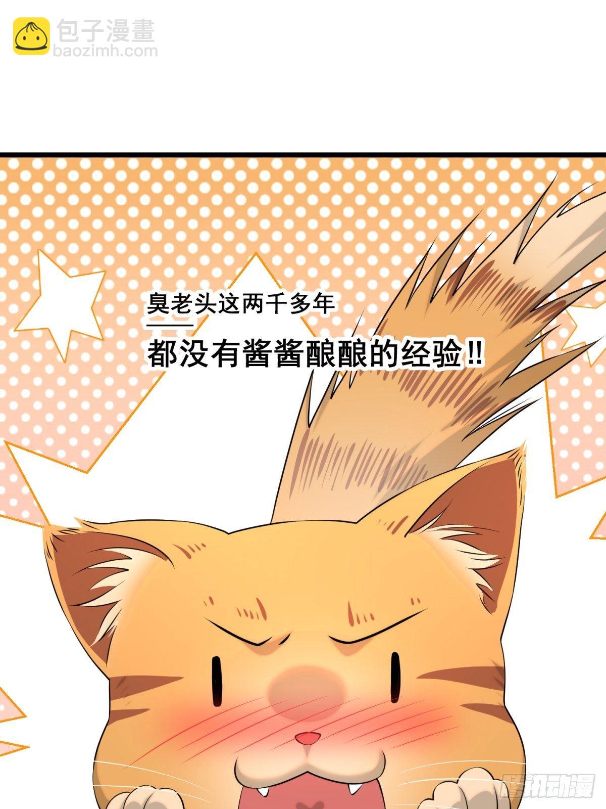 猫灵5(1/2)-第31话