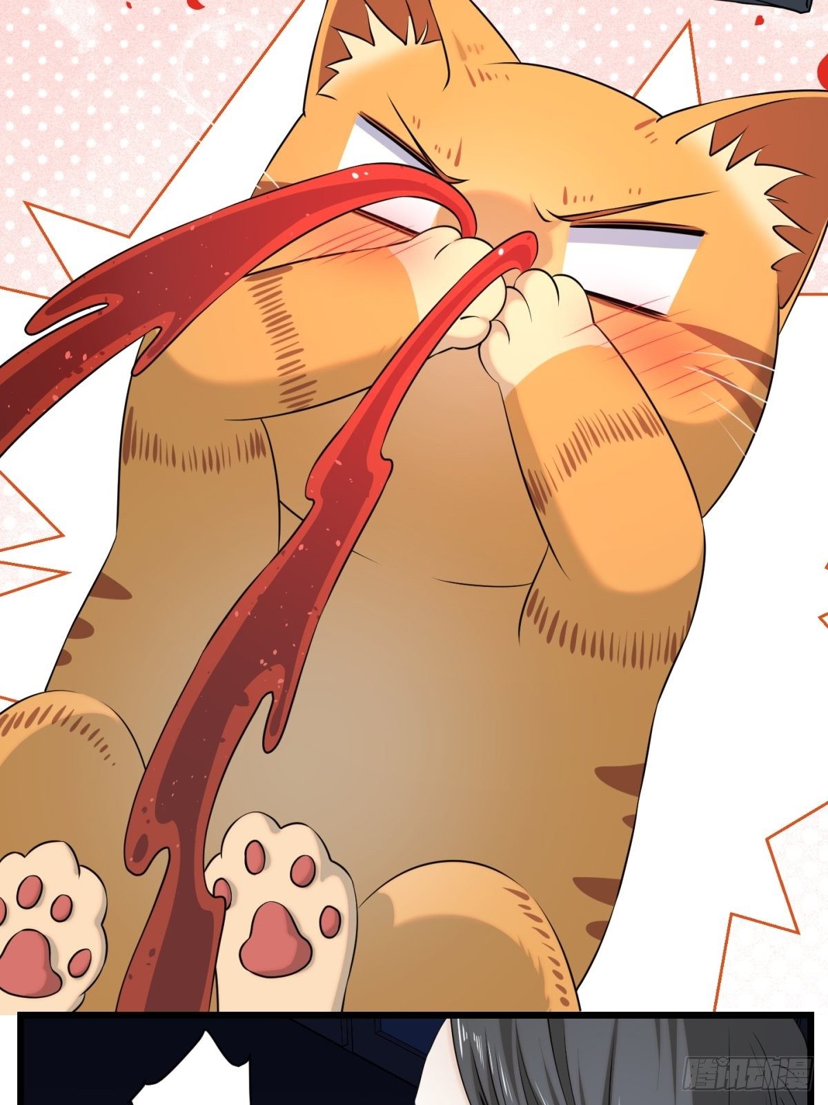 猫灵5(1/2)-第31话