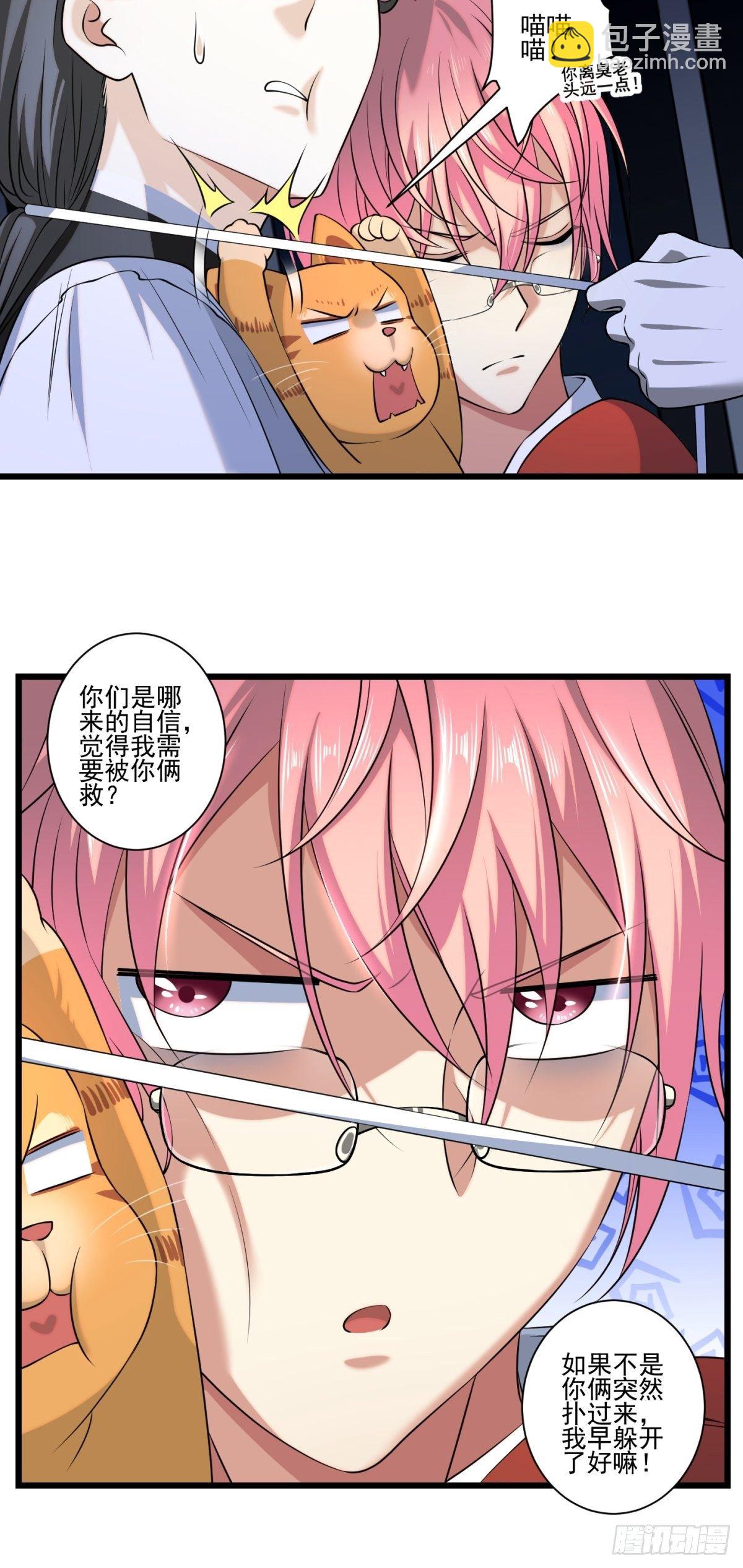 猫灵5(1/2)-第31话