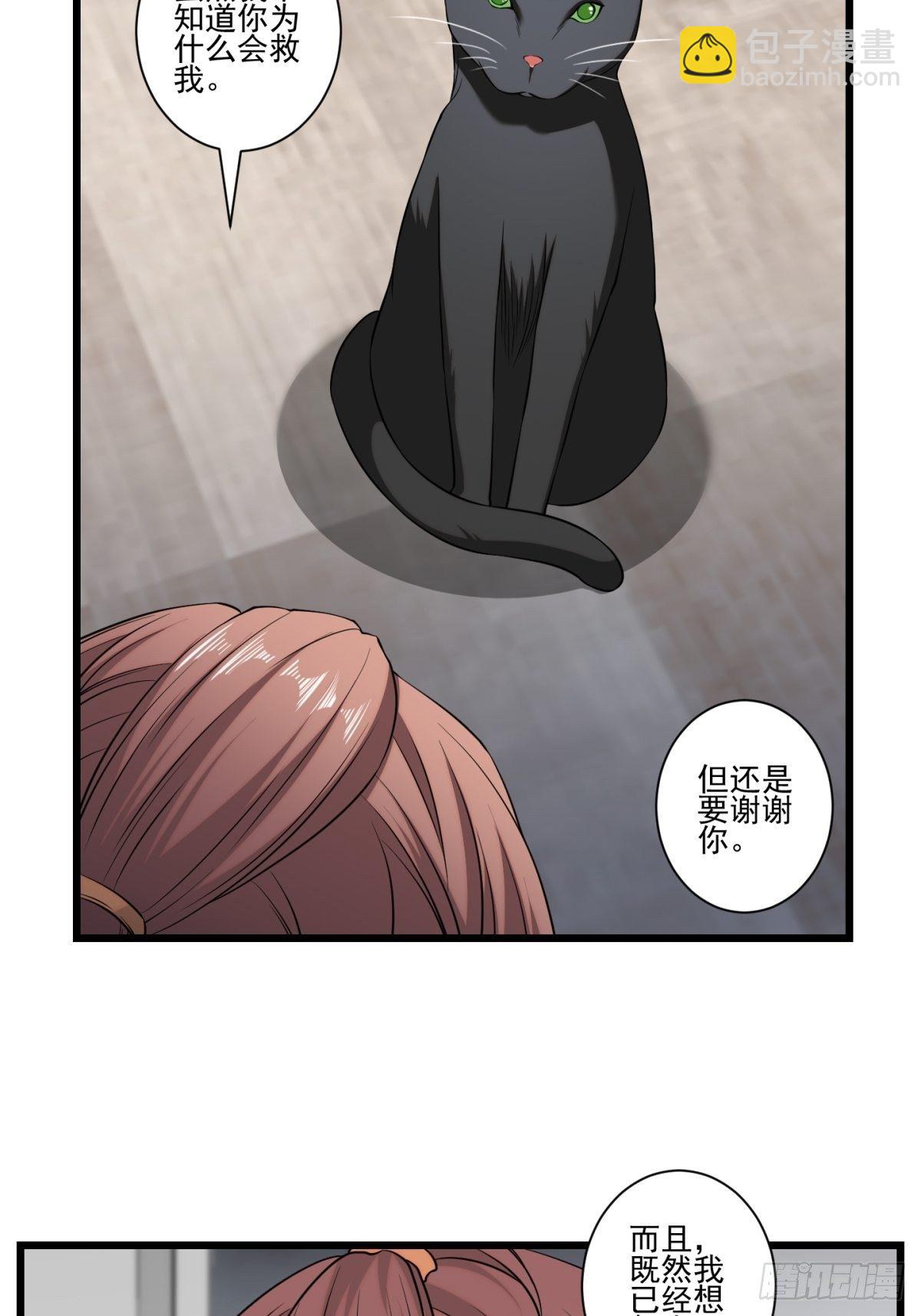 猫灵5(1/2)-第31话