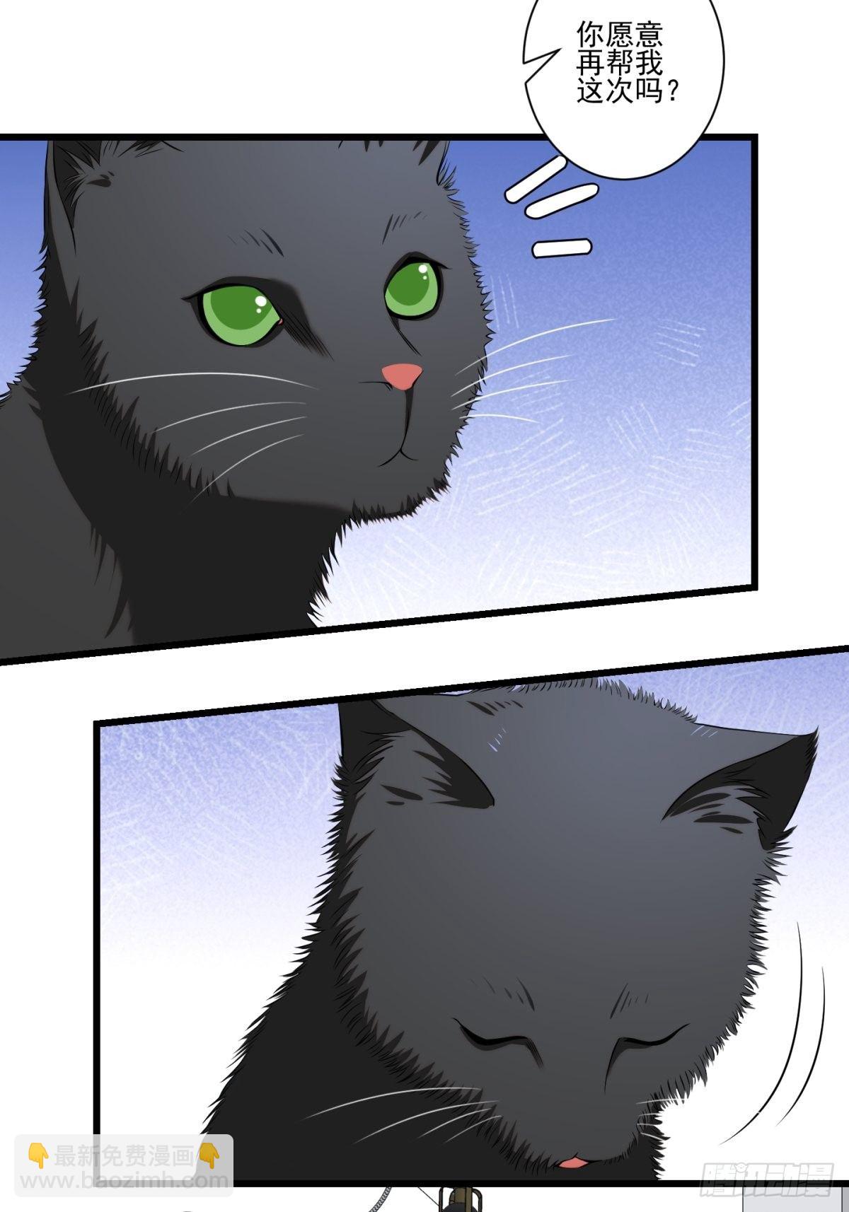 猫灵5(1/2)-第31话