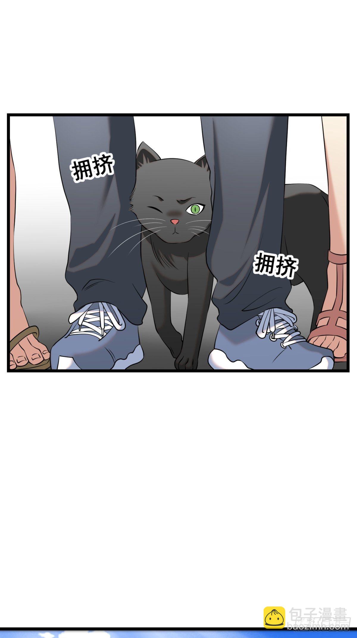 猫灵11(1/2)-第37话