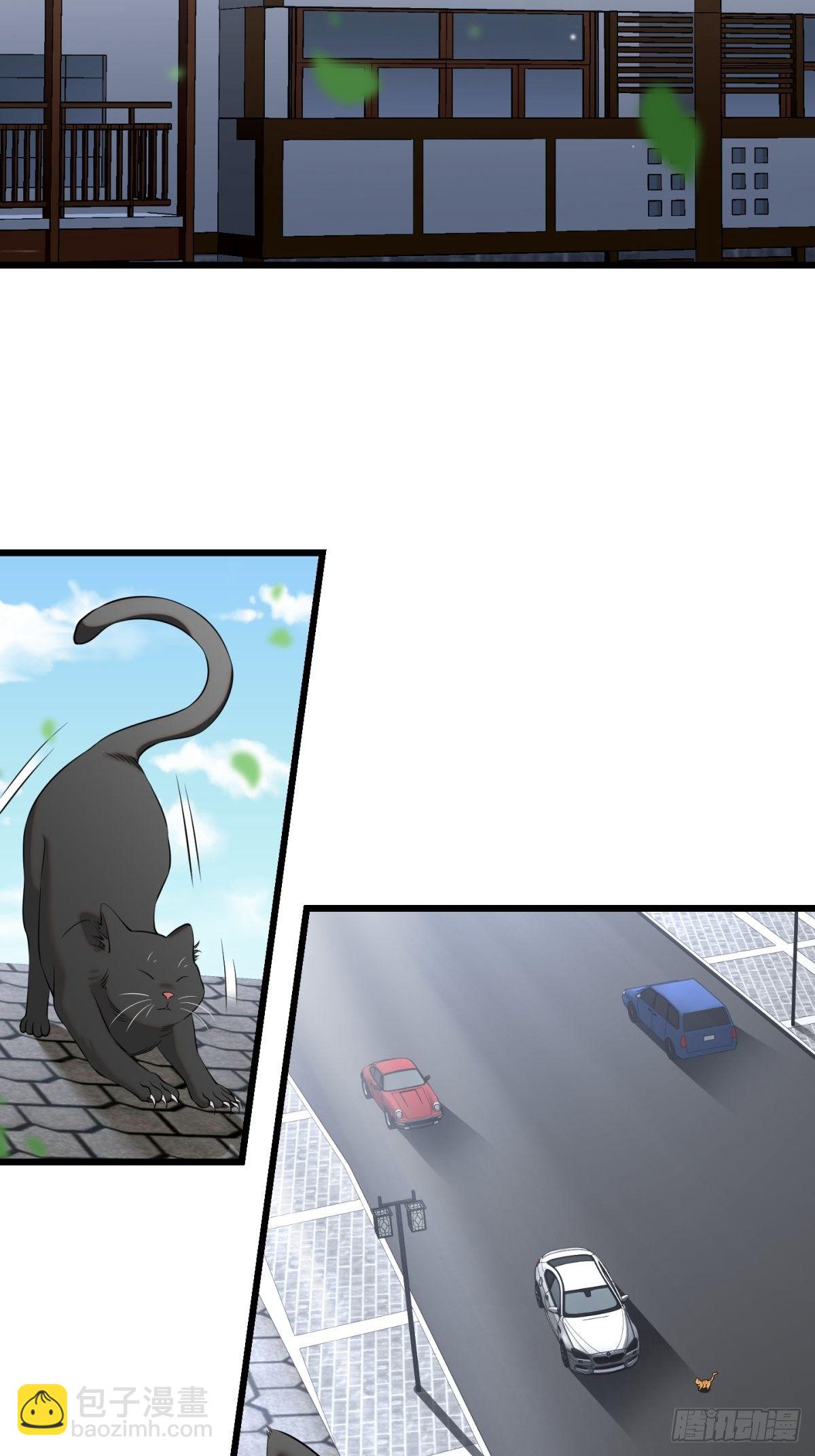 猫灵11(1/2)-第37话