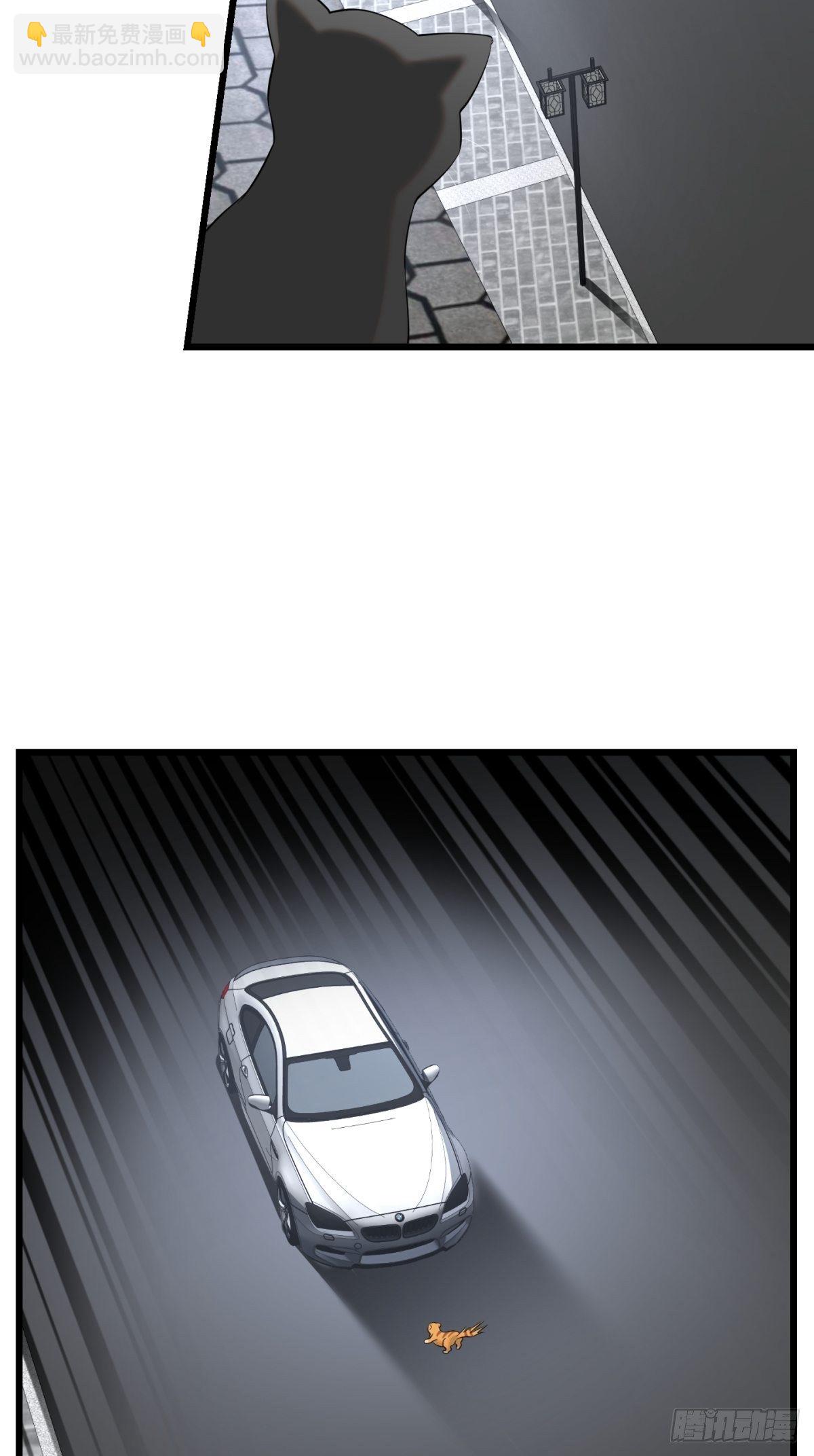 猫灵11(1/2)-第37话