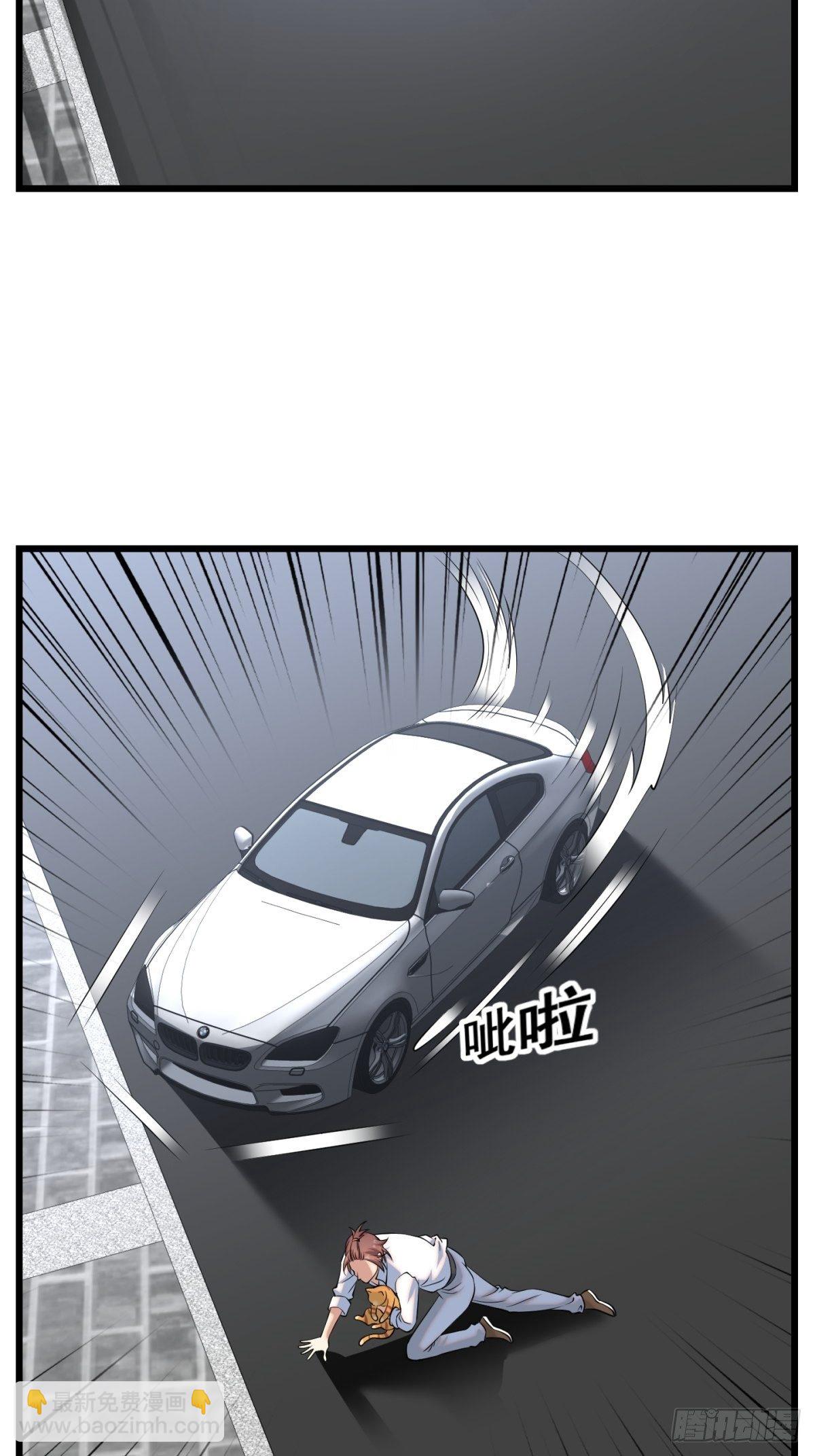 猫灵11(1/2)-第37话