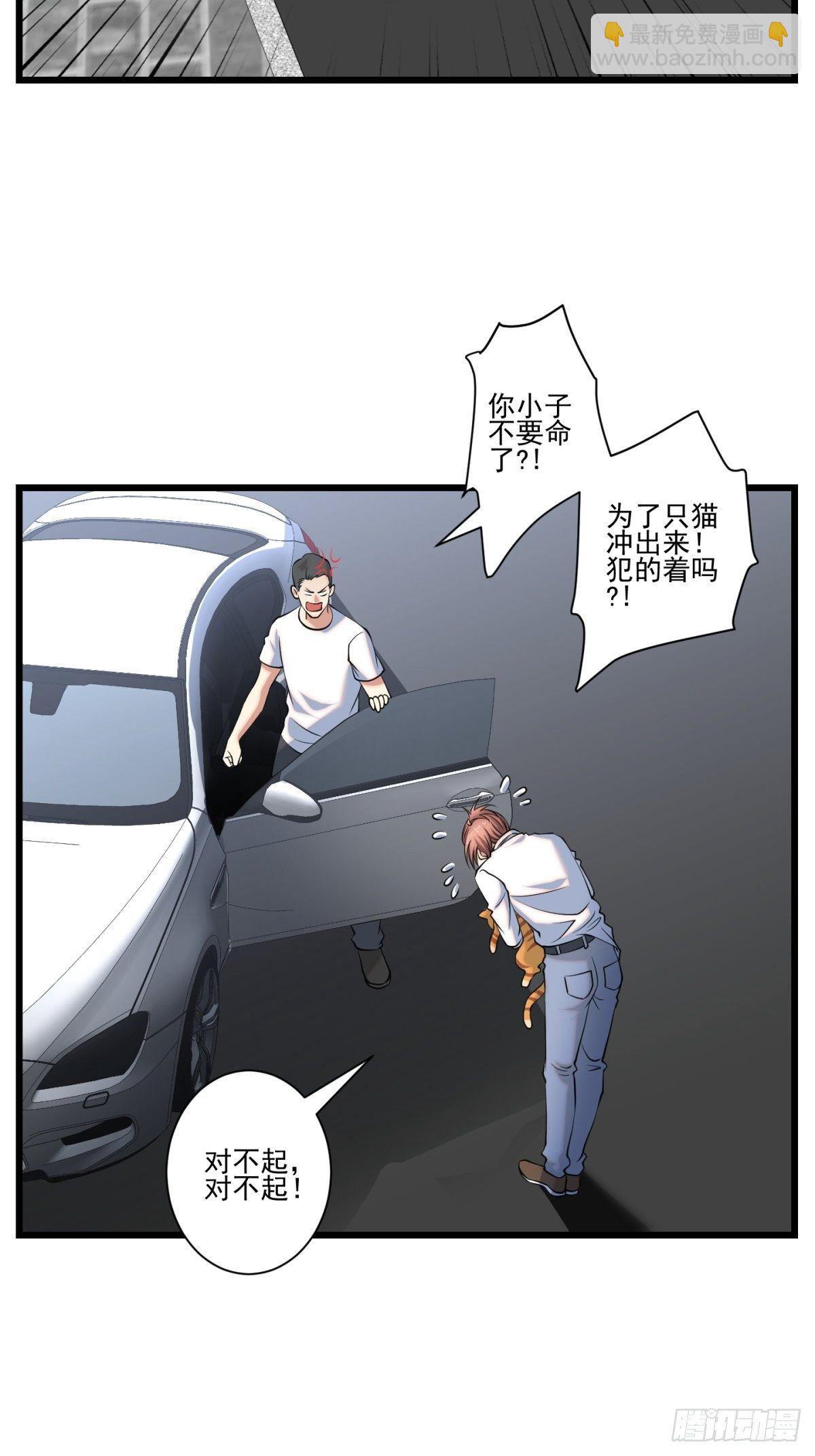 猫灵11(1/2)-第37话