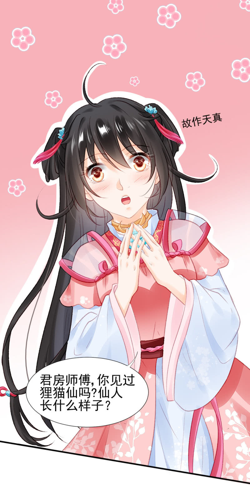 狸猫仙显灵？！(1/2)-第45话