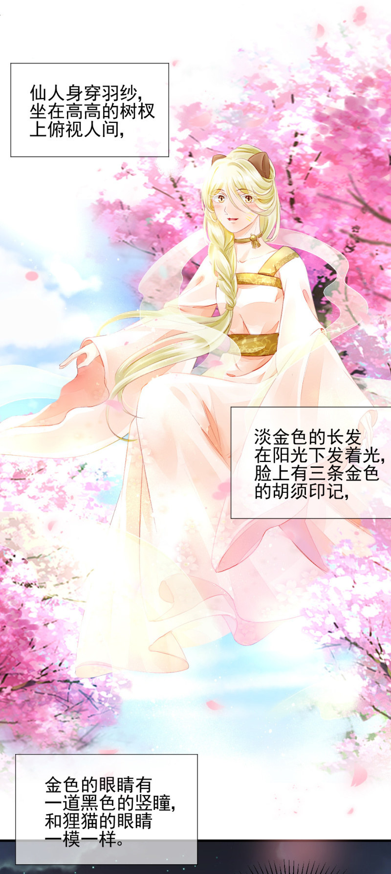 狸猫仙显灵？！(1/2)-第45话