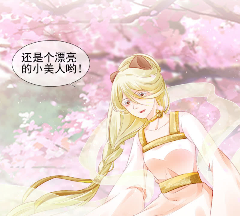 狸猫仙显灵？！(1/2)-第45话