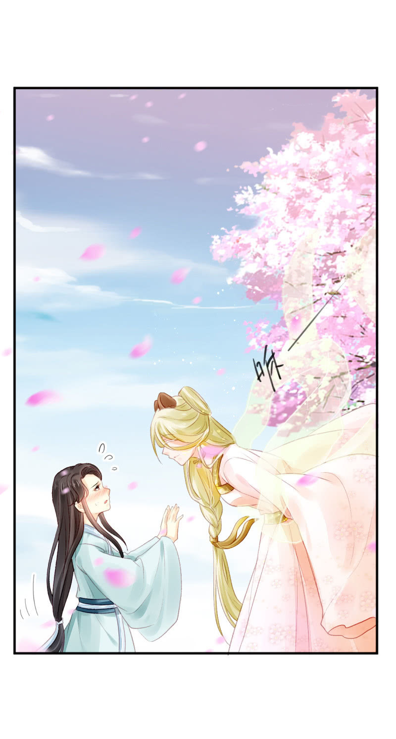 狸猫仙显灵？！(1/2)-第45话