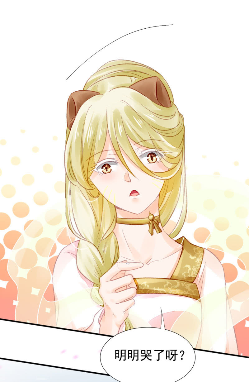 狸猫仙显灵？！(1/2)-第45话