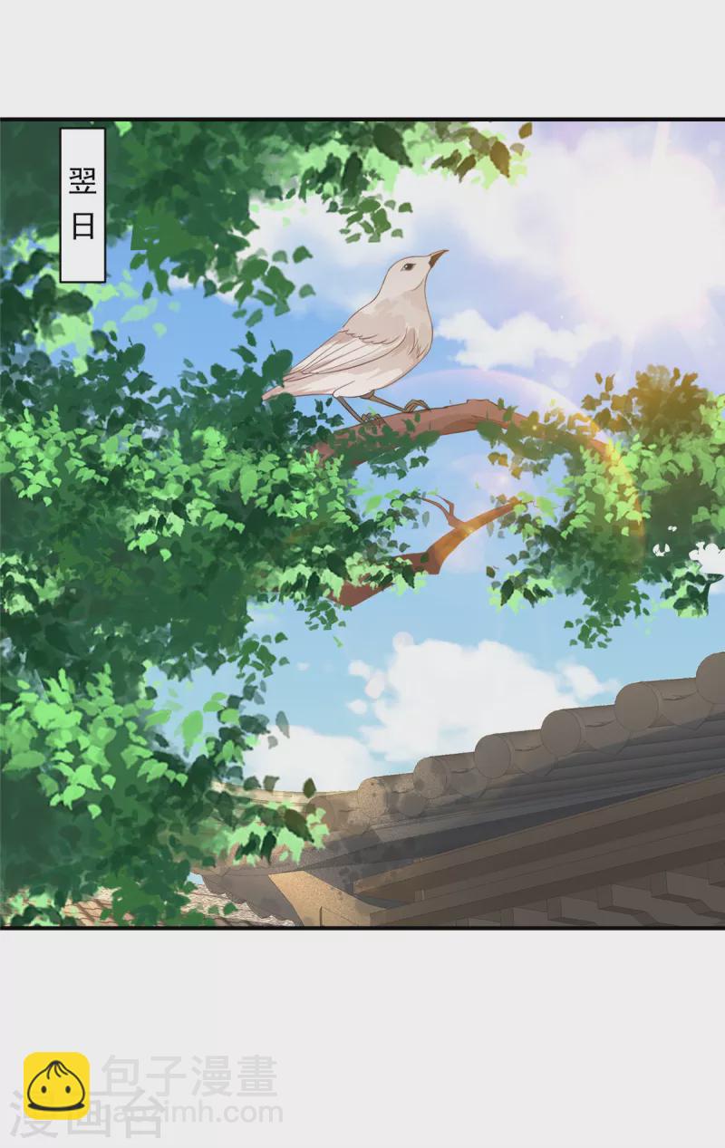 神偷王妃：我家王爺惹不起 - 第20話 你究竟還有多少秘密 - 4