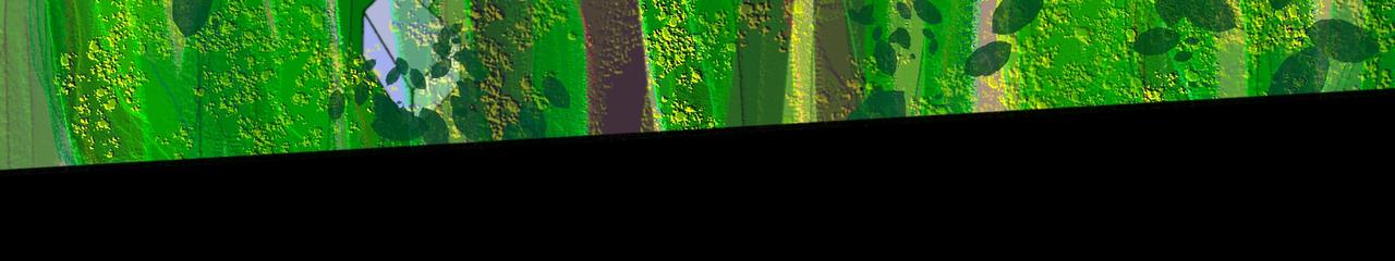 队友祭天？？(1/2)-第7话