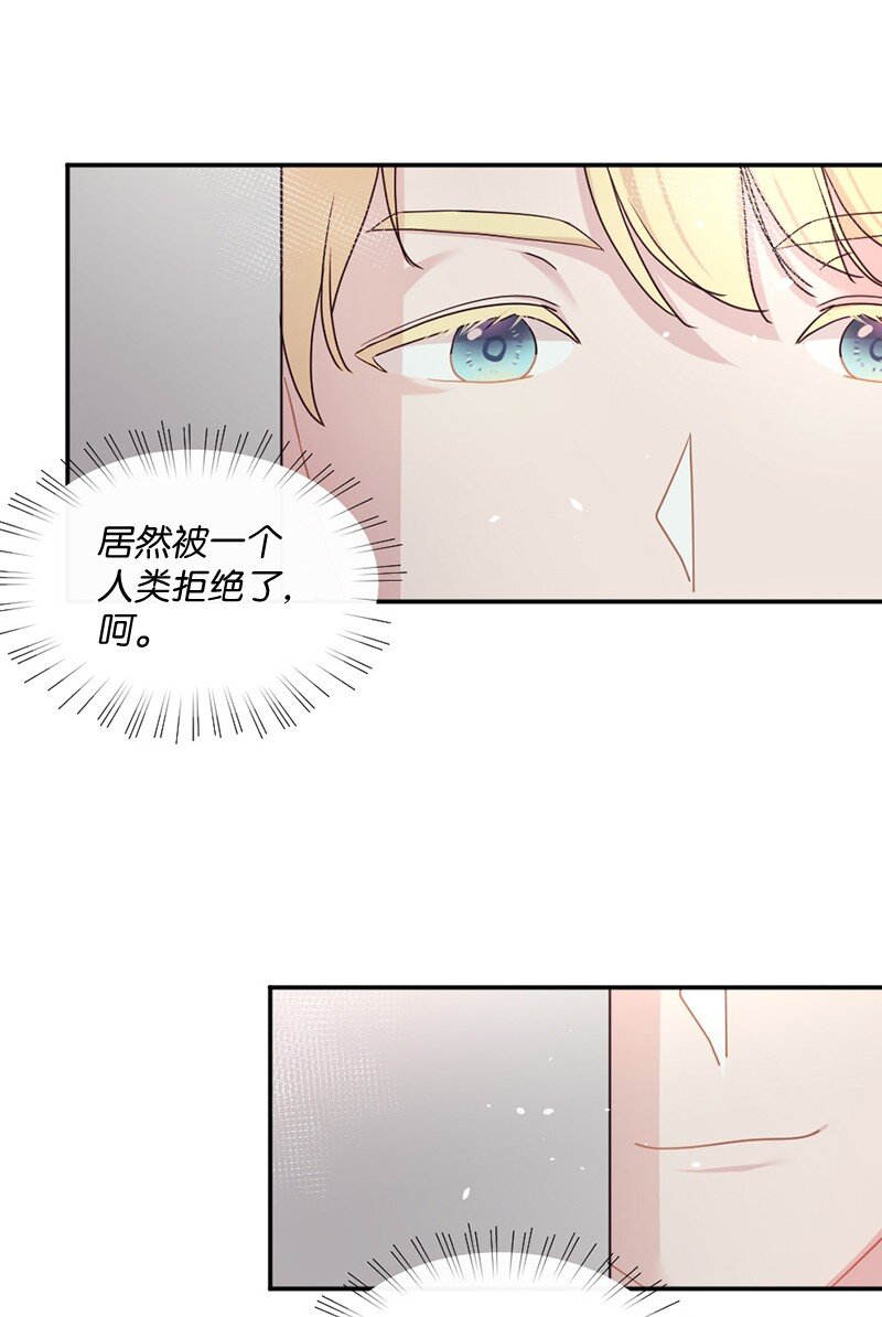 04 偶遇爱神与丹迪(1/2)-第5话