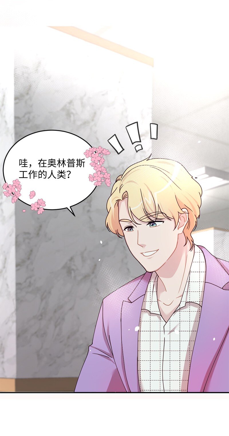 04 偶遇爱神与丹迪(1/2)-第5话