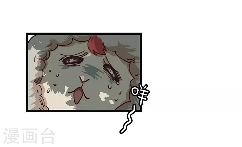 第6话 小绵羊，白又白-第7话