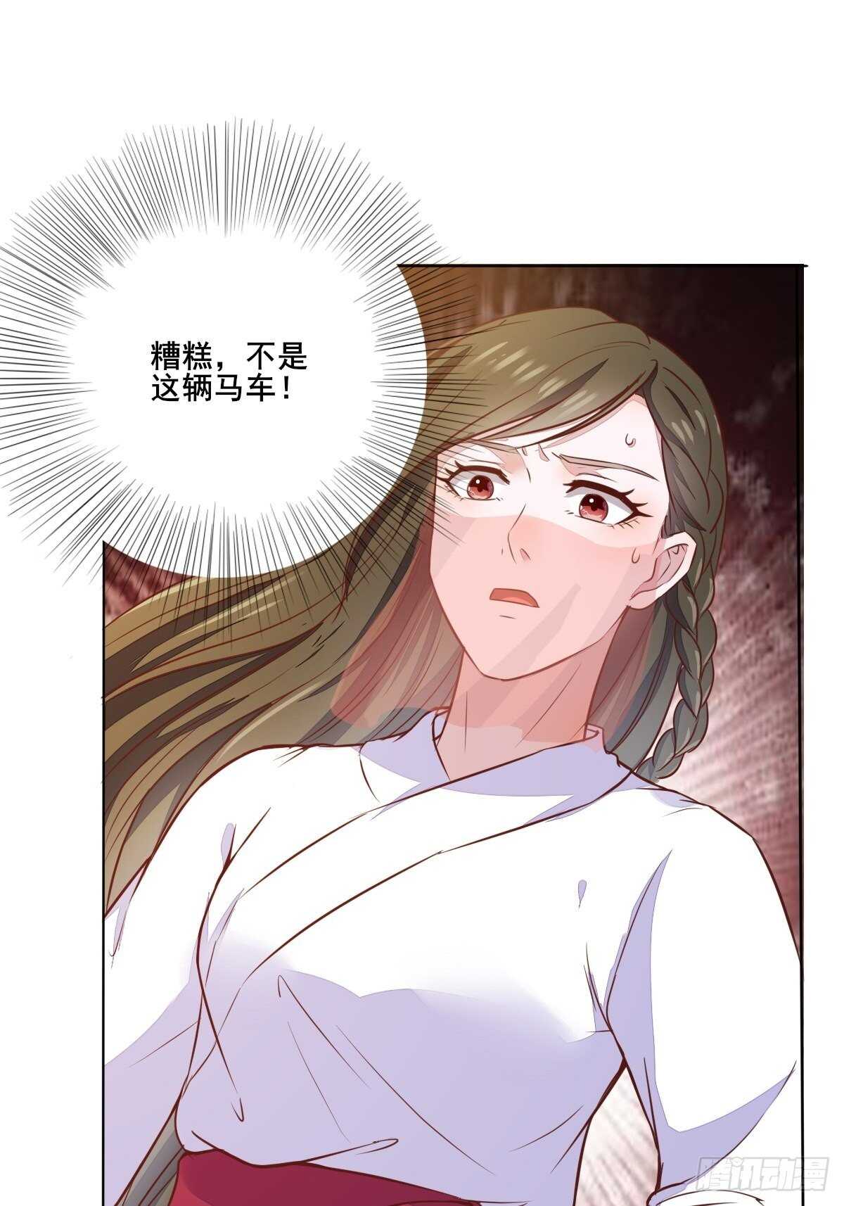 神醫棄女：鬼帝的馭獸狂妃 - 第101話 葉母被追殺 - 6