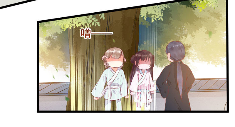 神医弃女：鬼帝的驭兽狂妃 - 第006话 大打出手 - 2