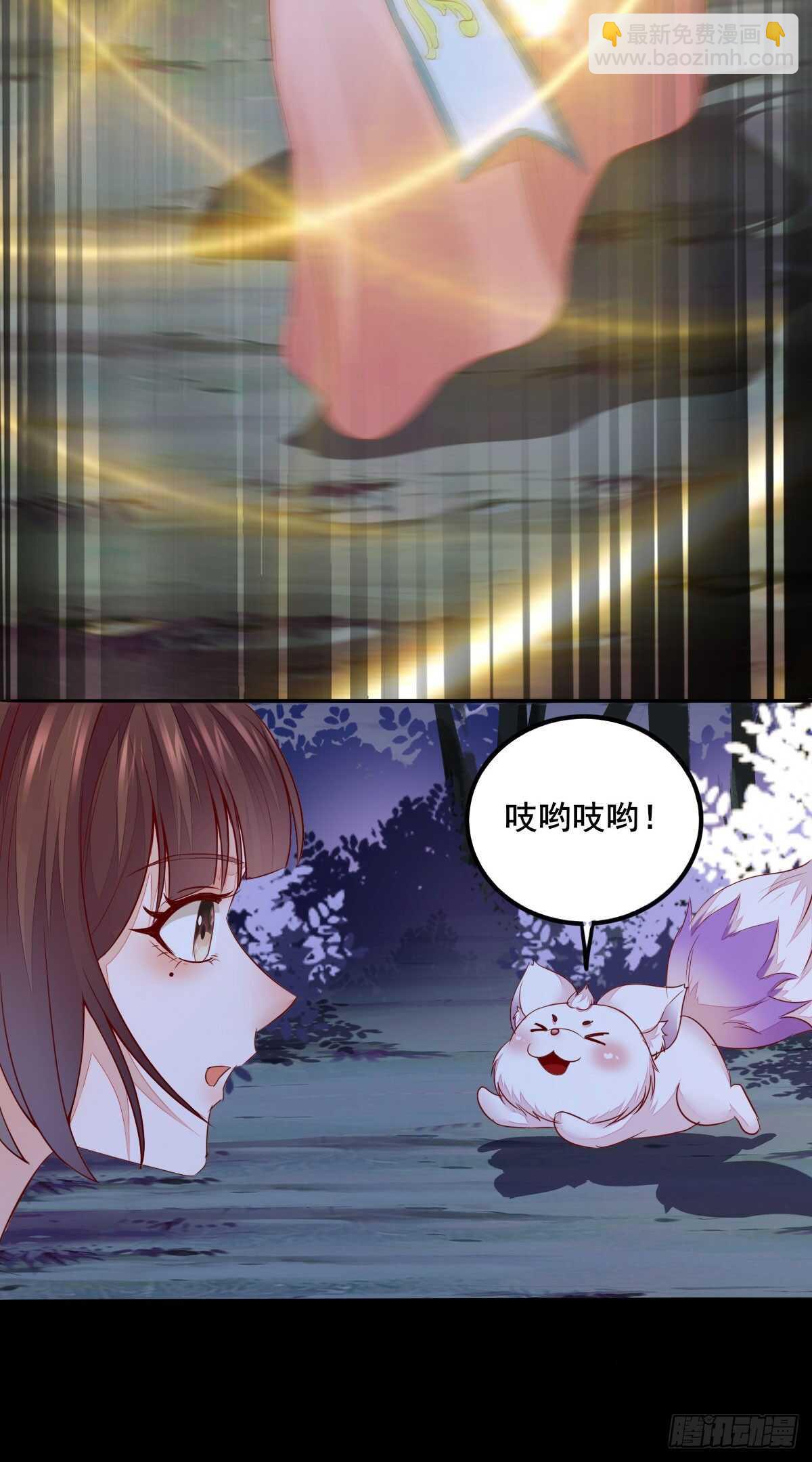 神醫棄女：鬼帝的馭獸狂妃 - 第75話 鴻蒙天升級了 - 5