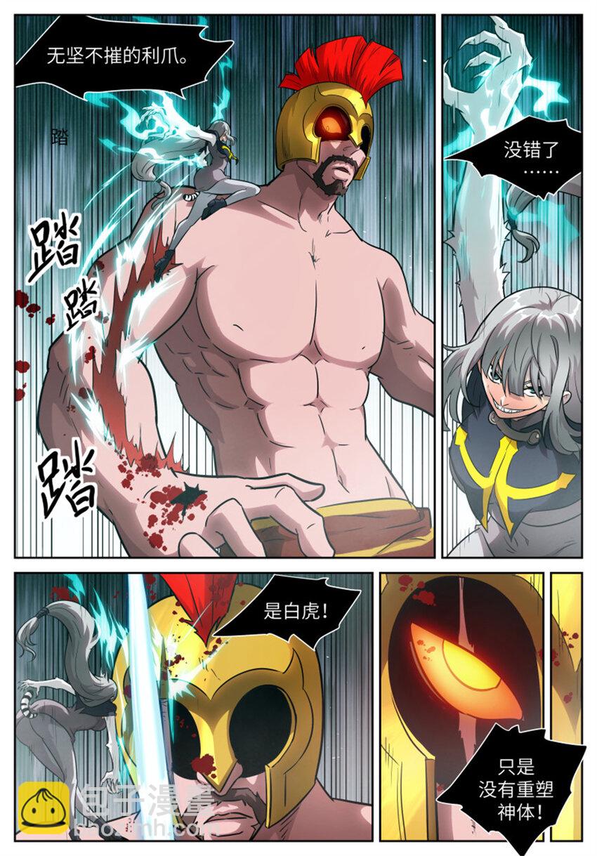 神俑降臨 - 602 白虎是母的？！ - 2