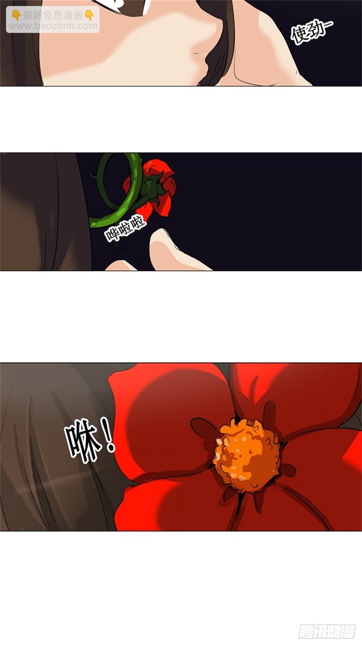 16.jpg