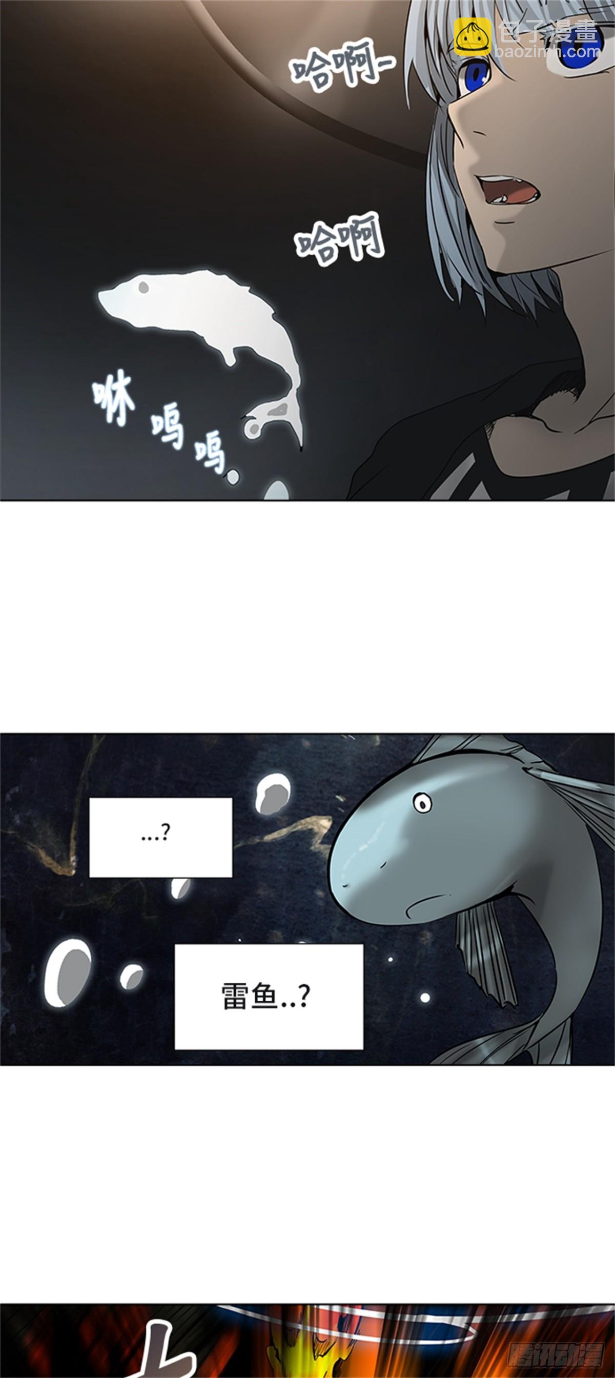 29.jpg
