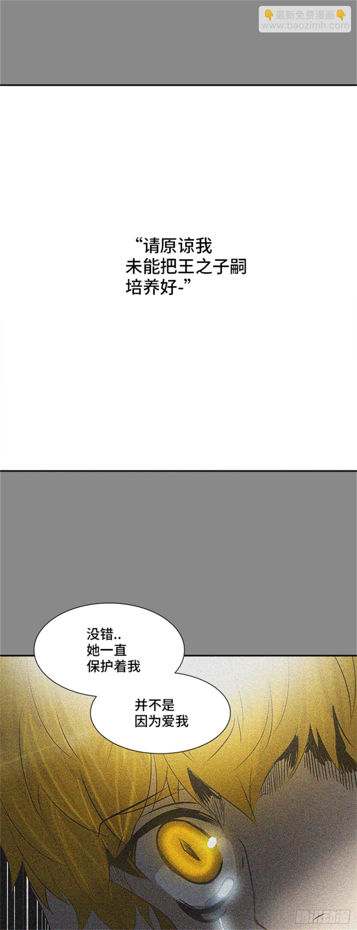 41.jpg