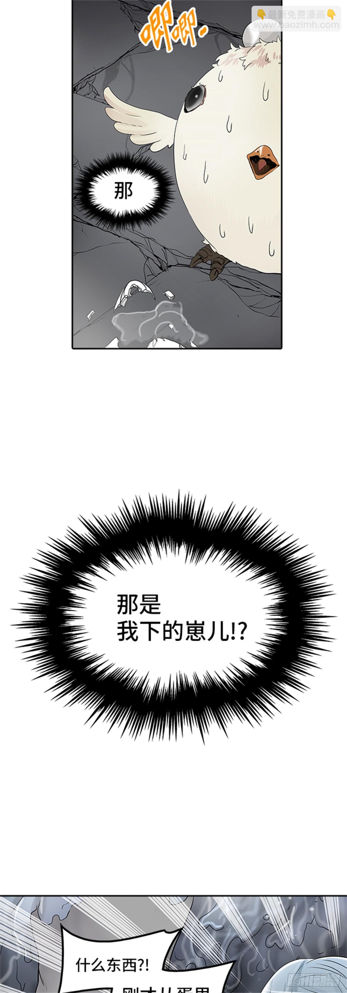 48.jpg