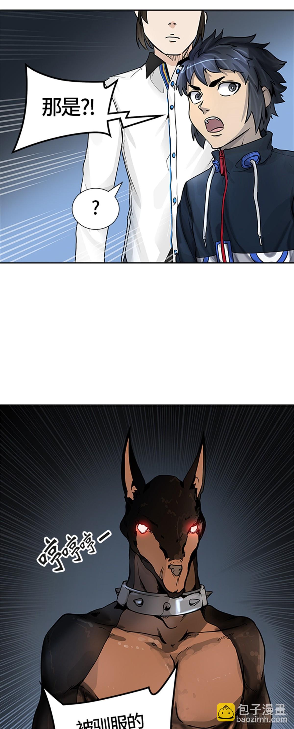 21.jpg