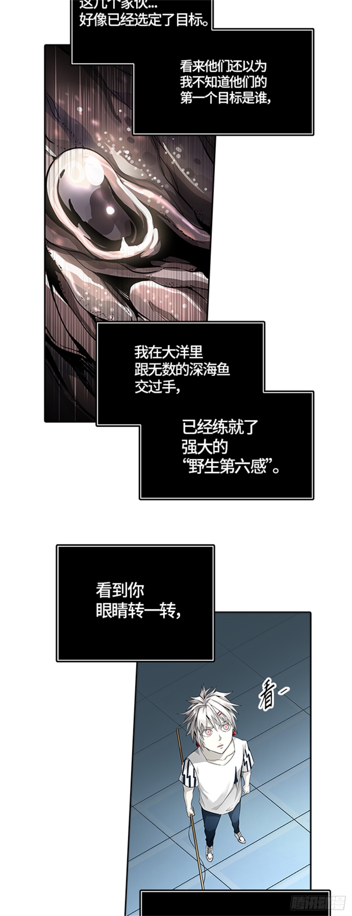 17.jpg