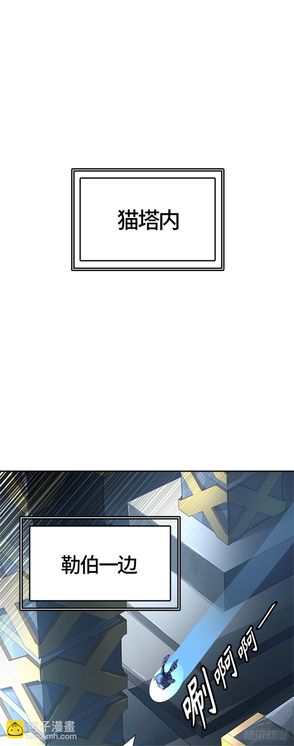 48.jpg