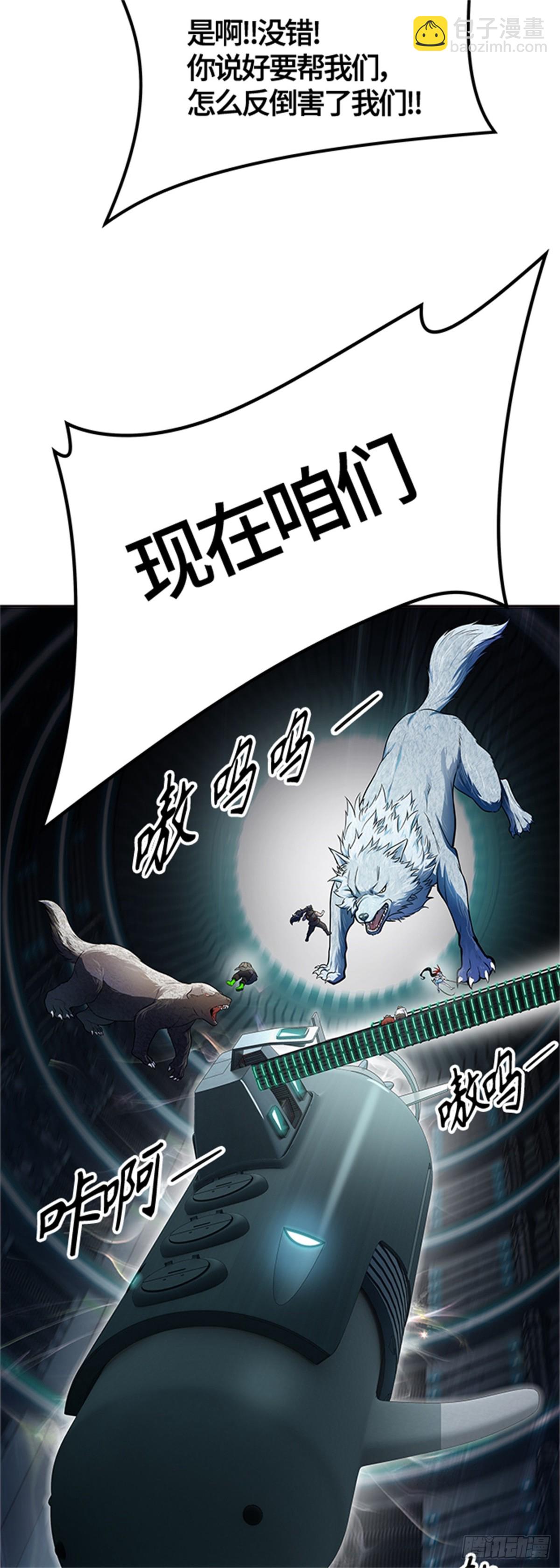 43.jpg