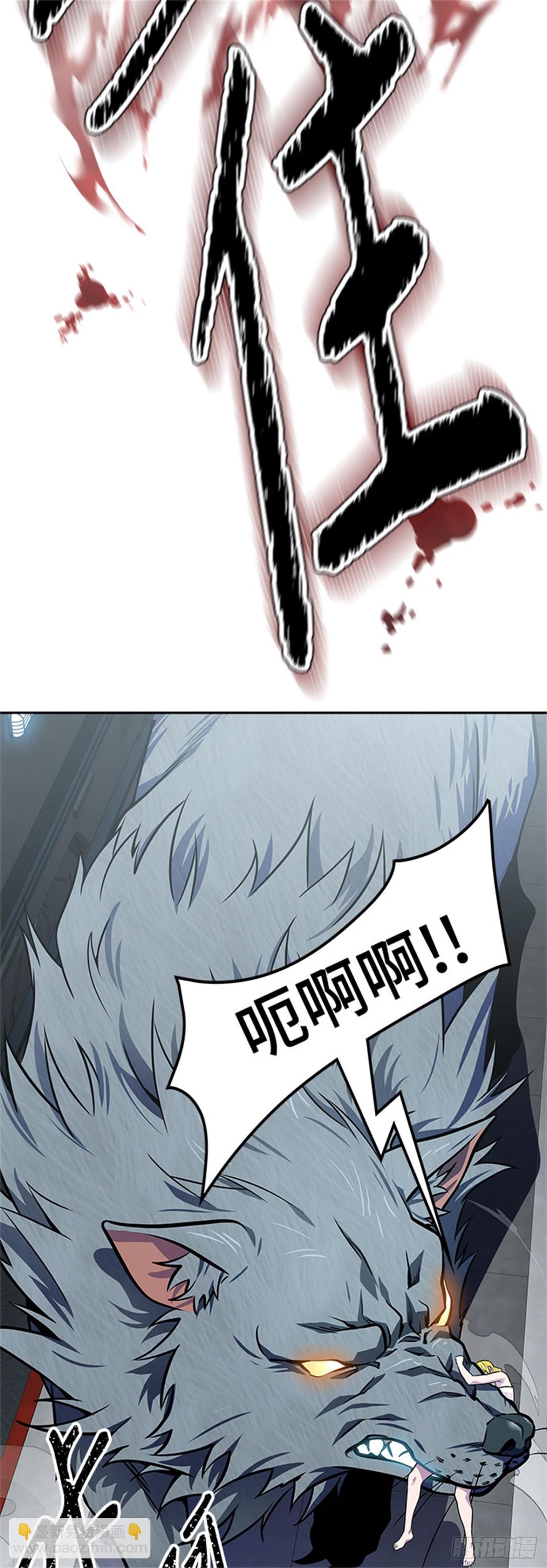 74.jpg