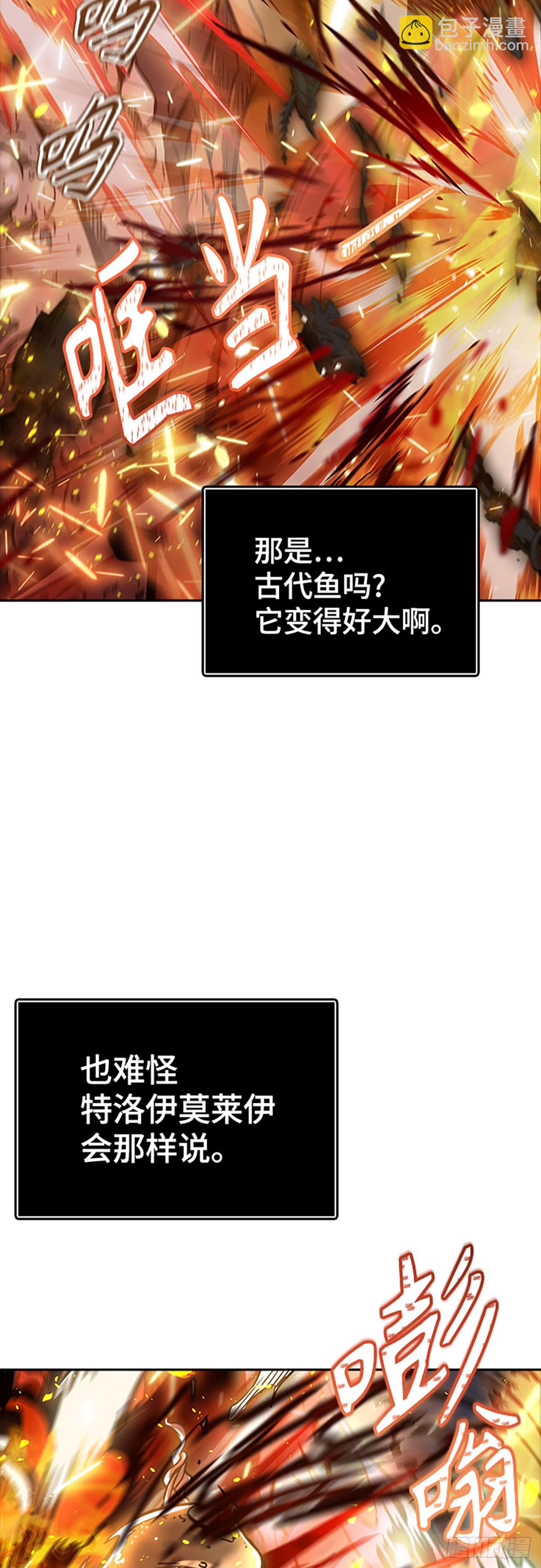 49.jpg