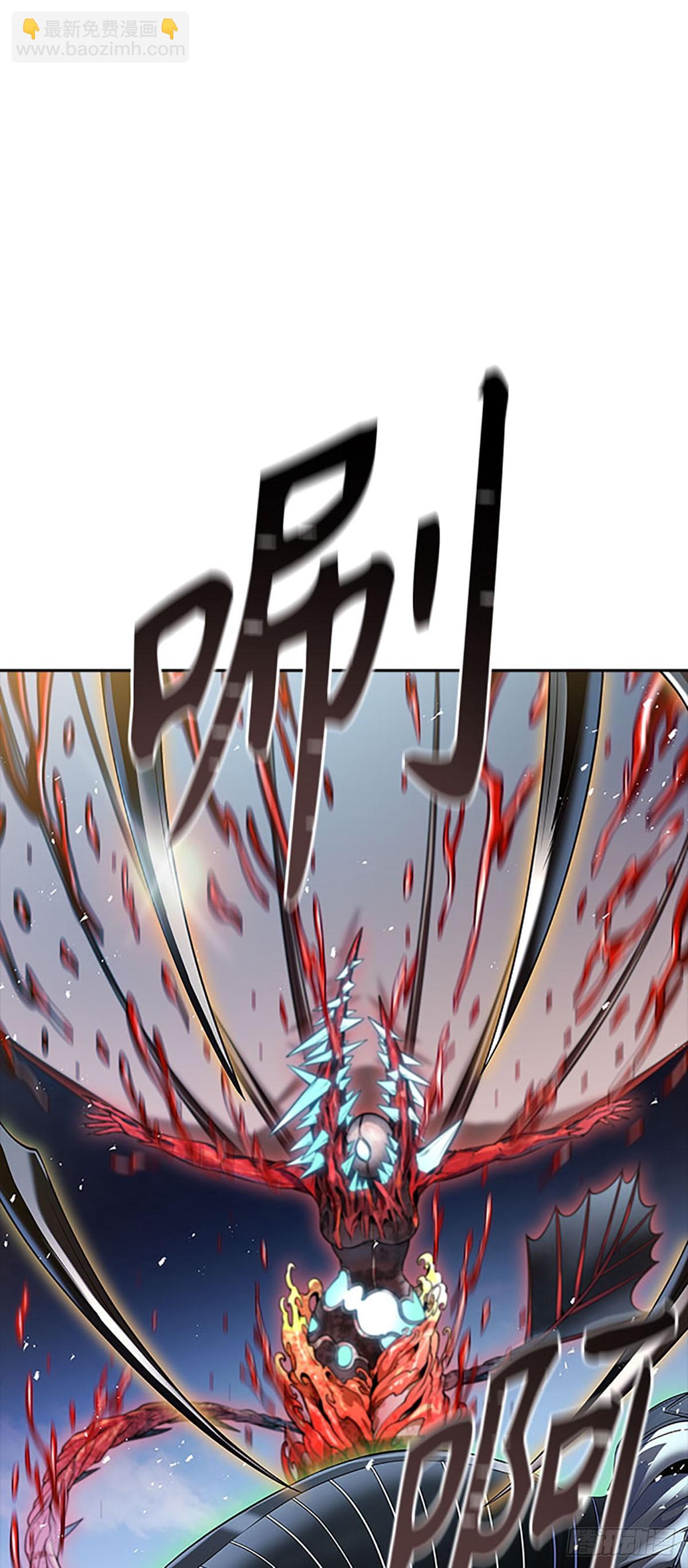 51.jpg