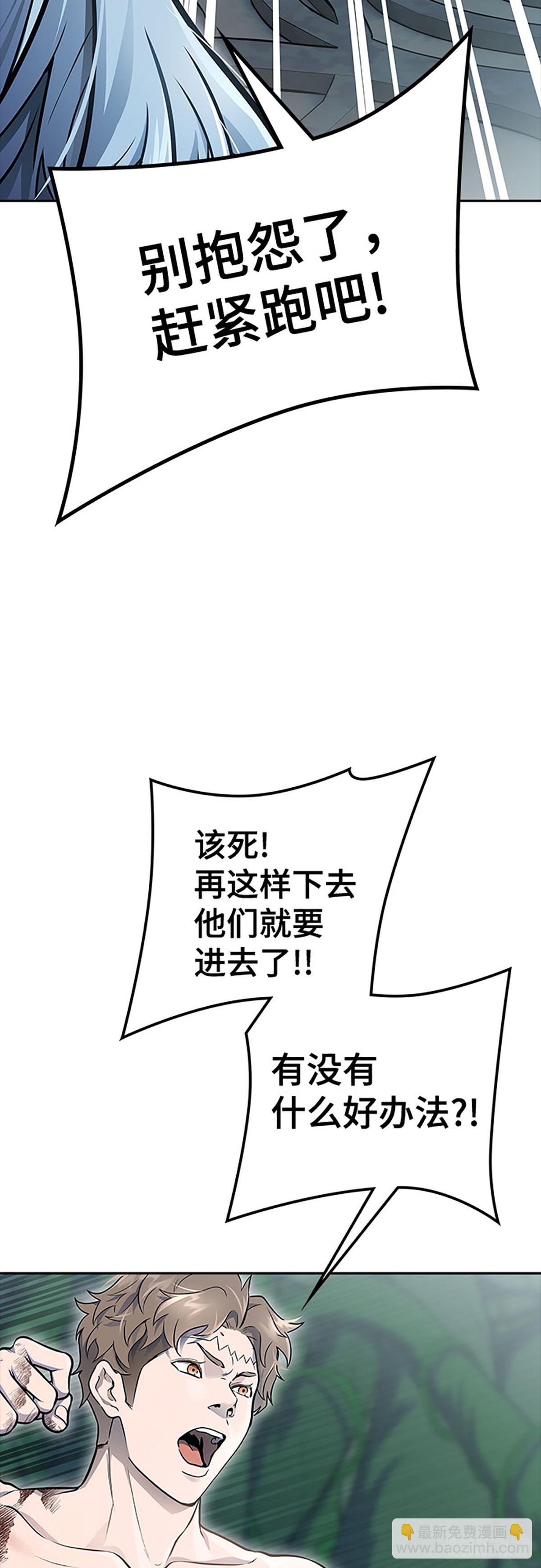 48.jpg