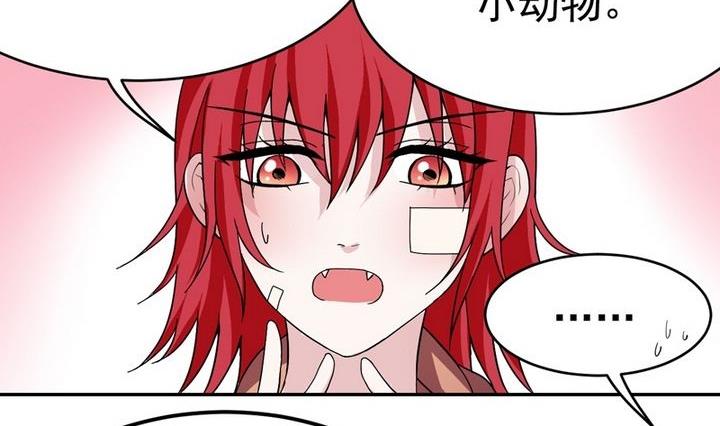 第29话 作战计划-第29话