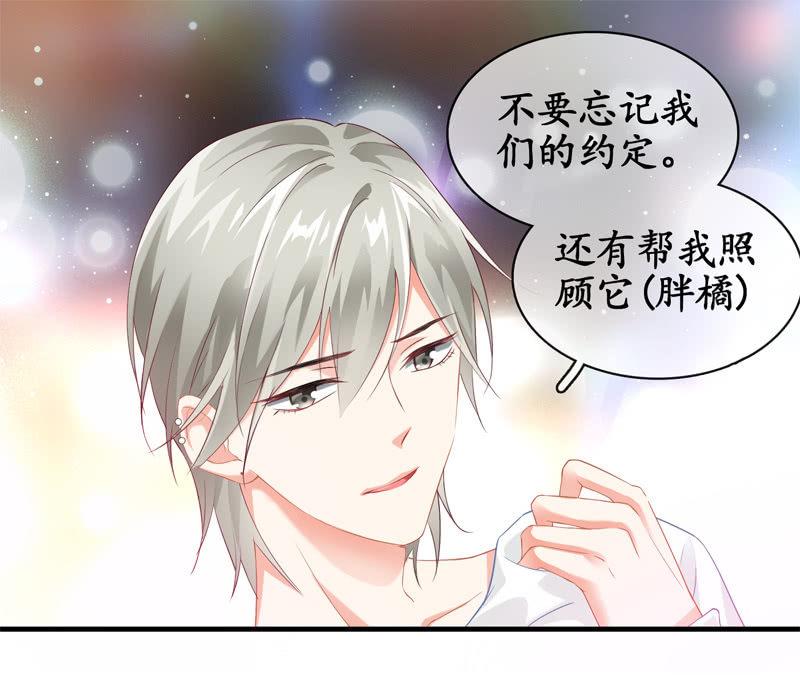 摩天轮下的约定(1/2)-第11话