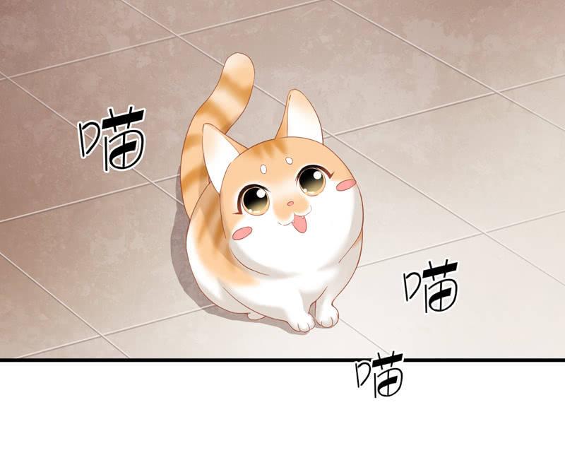 腾总家的妹子-第13话