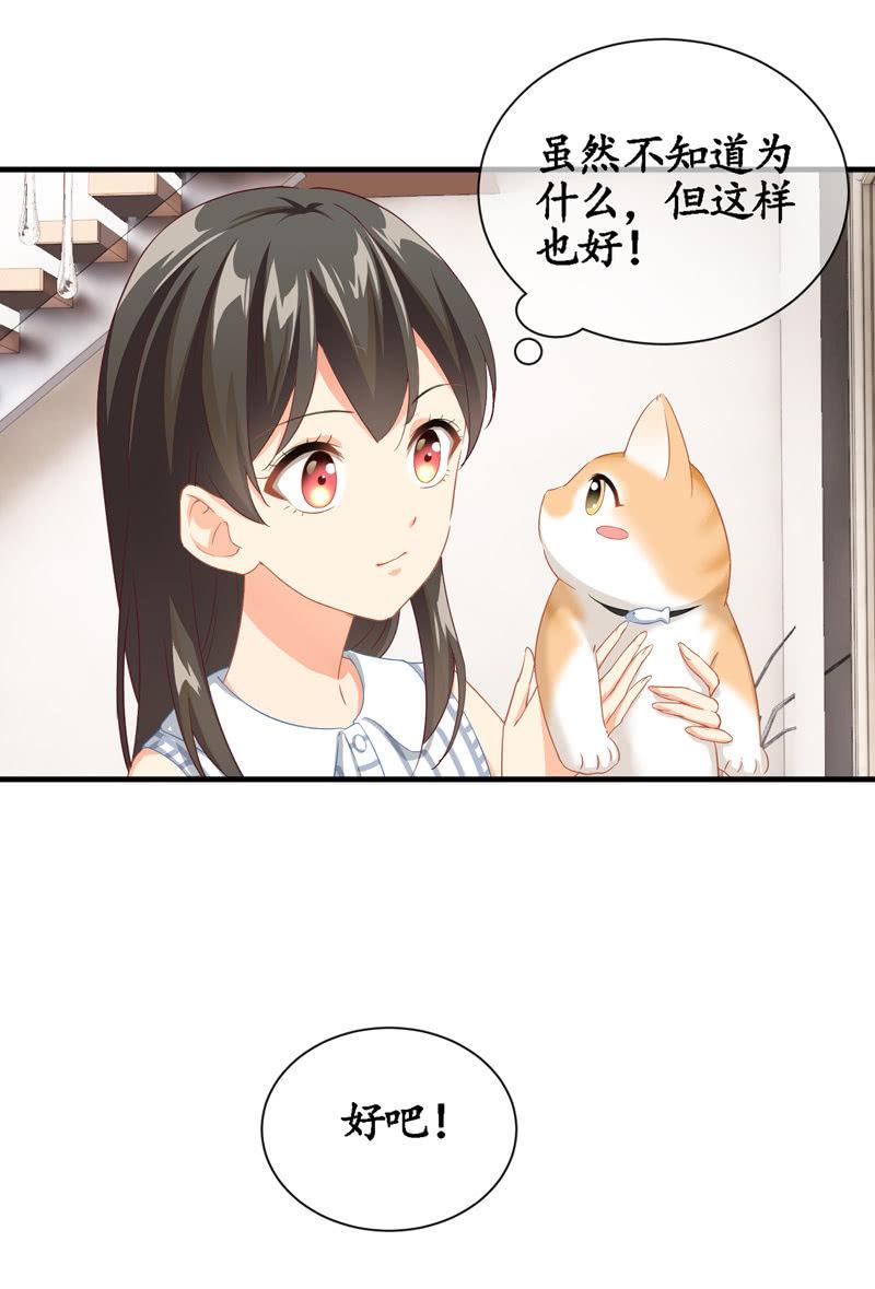 腾总家的妹子-第13话