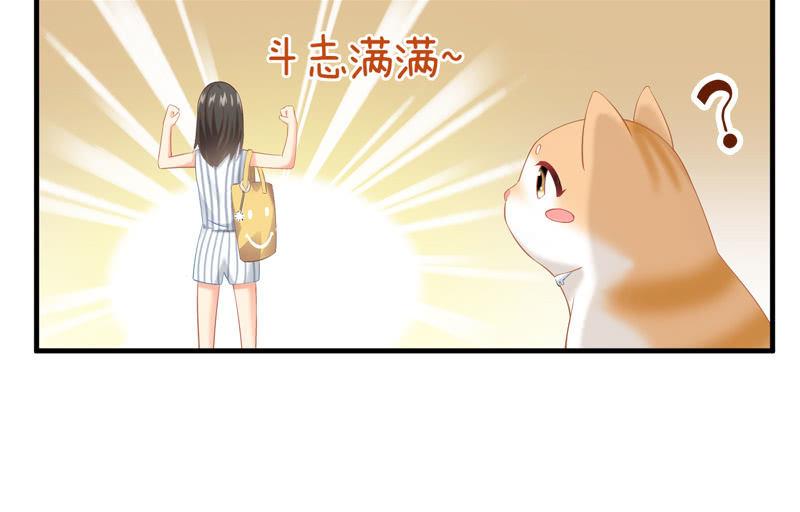 喵咪同伴出现啦~(1/2)-第15话