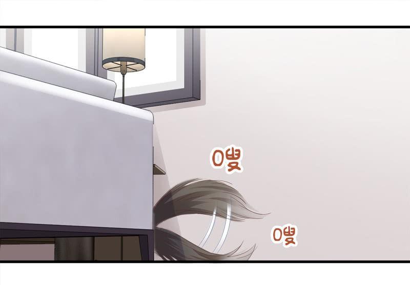 喵咪同伴出现啦~(1/2)-第15话