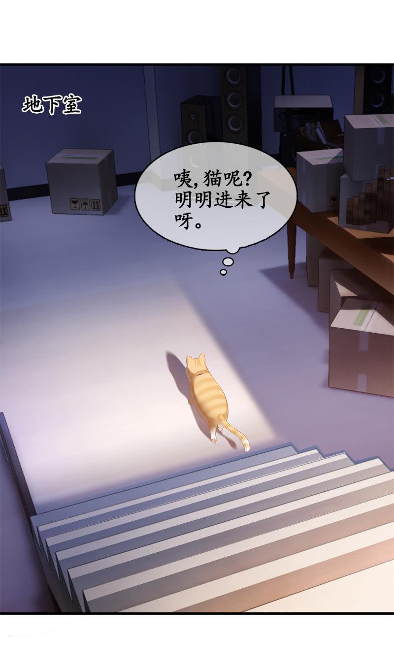 喵咪同伴出现啦~(1/2)-第15话