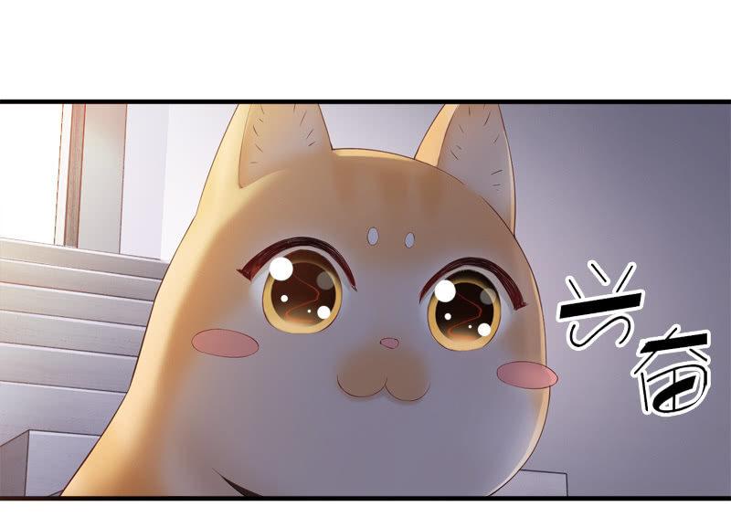 喵咪同伴出现啦~(1/2)-第15话