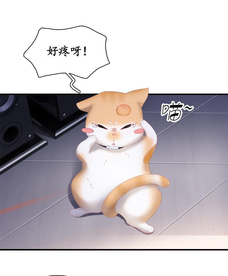 喵咪同伴出现啦~(1/2)-第15话